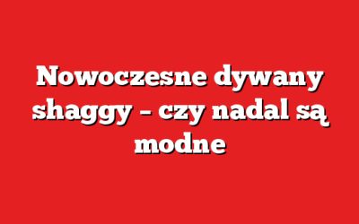 Nowoczesne dywany shaggy – czy nadal są modne
