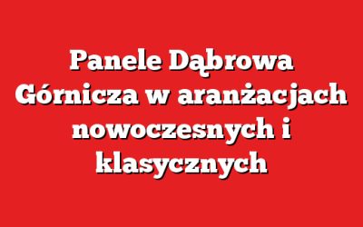 Panele Dąbrowa Górnicza w aranżacjach nowoczesnych i klasycznych
