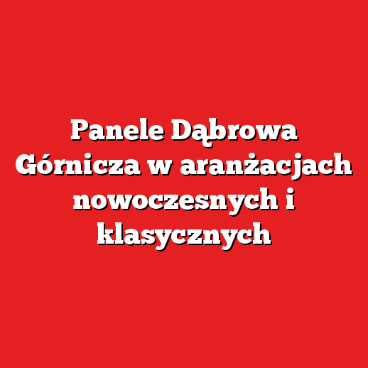 Panele Dąbrowa Górnicza w aranżacjach nowoczesnych i klasycznych