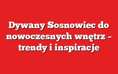 Dywany Sosnowiec do nowoczesnych wnętrz – trendy i inspiracje