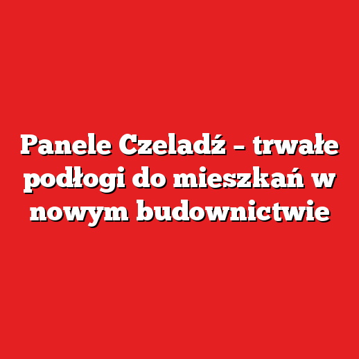 Panele Czeladź – trwałe podłogi do mieszkań w nowym budownictwie