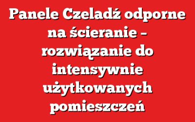 Panele Czeladź odporne na ścieranie – rozwiązanie do intensywnie użytkowanych pomieszczeń
