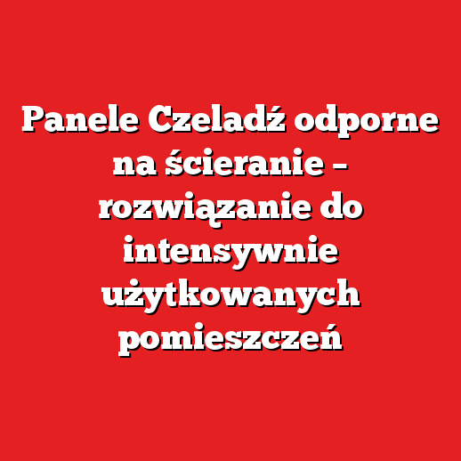 Panele Czeladź odporne na ścieranie – rozwiązanie do intensywnie użytkowanych pomieszczeń