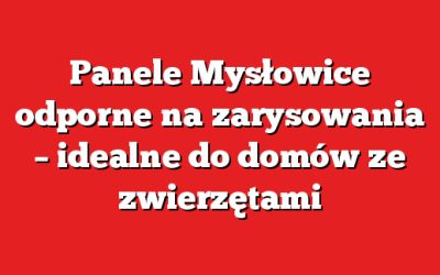 Panele Mysłowice odporne na zarysowania – idealne do domów ze zwierzętami