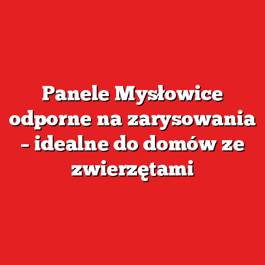 Panele Mysłowice odporne na zarysowania – idealne do domów ze zwierzętami