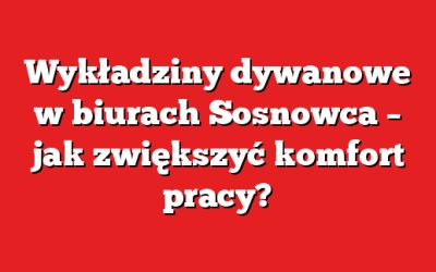Wykładziny dywanowe w biurach Sosnowca – jak zwiększyć komfort pracy?