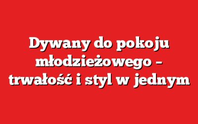 Dywany do pokoju młodzieżowego – trwałość i styl w jednym