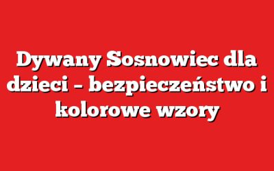 Dywany Sosnowiec dla dzieci – bezpieczeństwo i kolorowe wzory