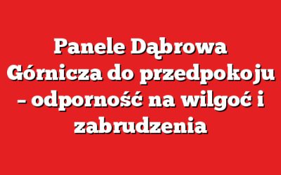 Panele Dąbrowa Górnicza do przedpokoju – odporność na wilgoć i zabrudzenia