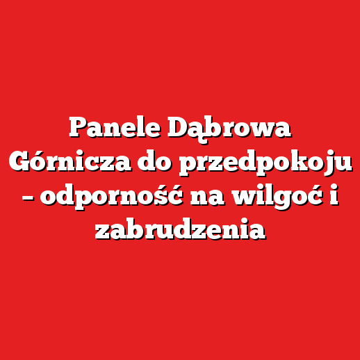 Panele Dąbrowa Górnicza do przedpokoju – odporność na wilgoć i zabrudzenia