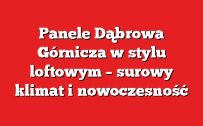 Panele Dąbrowa Górnicza w stylu loftowym – surowy klimat i nowoczesność