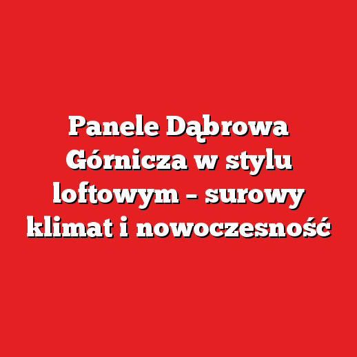 Panele Dąbrowa Górnicza w stylu loftowym – surowy klimat i nowoczesność