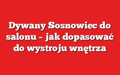 Dywany Sosnowiec do salonu – jak dopasować do wystroju wnętrza