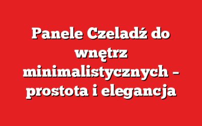 Panele Czeladź do wnętrz minimalistycznych – prostota i elegancja