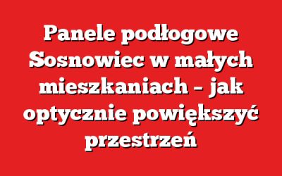 Panele podłogowe Sosnowiec w małych mieszkaniach – jak optycznie powiększyć przestrzeń