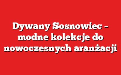 Dywany Sosnowiec – modne kolekcje do nowoczesnych aranżacji