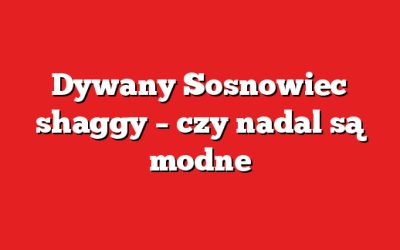 Dywany Sosnowiec shaggy – czy nadal są modne