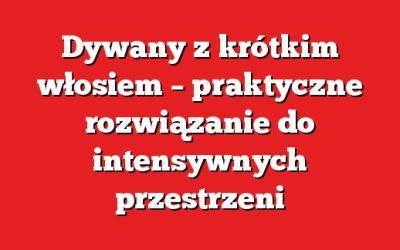 Dywany z krótkim włosiem – praktyczne rozwiązanie do intensywnych przestrzeni