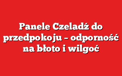 Panele Czeladź do przedpokoju – odporność na błoto i wilgoć
