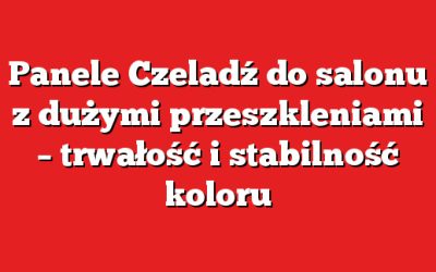 Panele Czeladź do salonu z dużymi przeszkleniami – trwałość i stabilność koloru