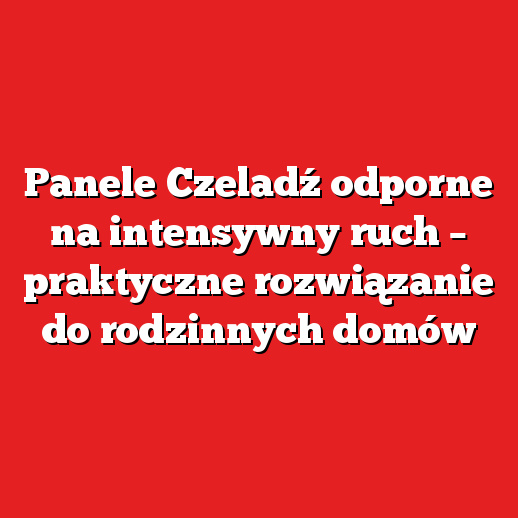 Panele Czeladź odporne na intensywny ruch – praktyczne rozwiązanie do rodzinnych domów