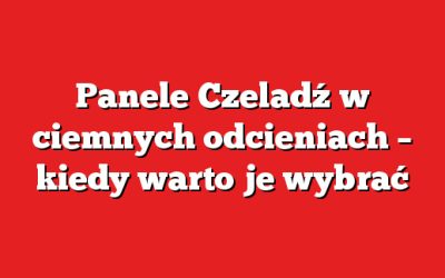 Panele Czeladź w ciemnych odcieniach – kiedy warto je wybrać