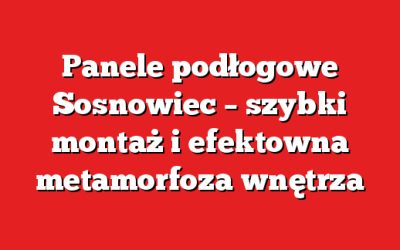 Panele podłogowe Sosnowiec – szybki montaż i efektowna metamorfoza wnętrza