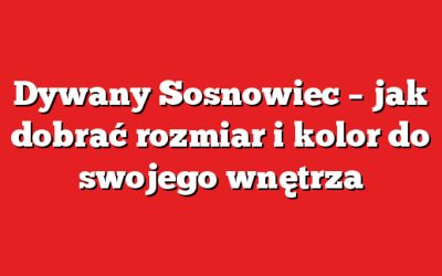 Dywany Sosnowiec – jak dobrać rozmiar i kolor do swojego wnętrza