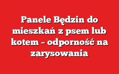 Panele Będzin do mieszkań z psem lub kotem – odporność na zarysowania