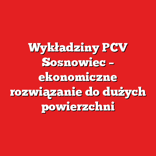 Wykładziny PCV Sosnowiec – ekonomiczne rozwiązanie do dużych powierzchni Wykładziny PCV Sosnowiec – ekonomiczne rozwiązanie do dużych powierzchni