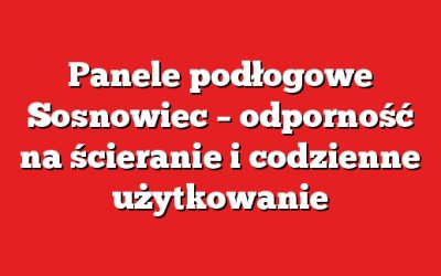 Panele podłogowe Sosnowiec – odporność na ścieranie i codzienne użytkowanie