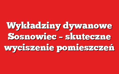 Wykładziny dywanowe Sosnowiec – skuteczne wyciszenie pomieszczeń