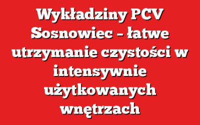 Wykładziny PCV Sosnowiec – łatwe utrzymanie czystości w intensywnie użytkowanych wnętrzach